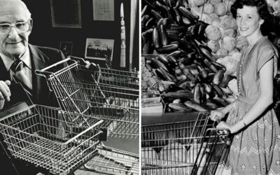 One Idea can Grow Your Business – The Shopping Cart Story