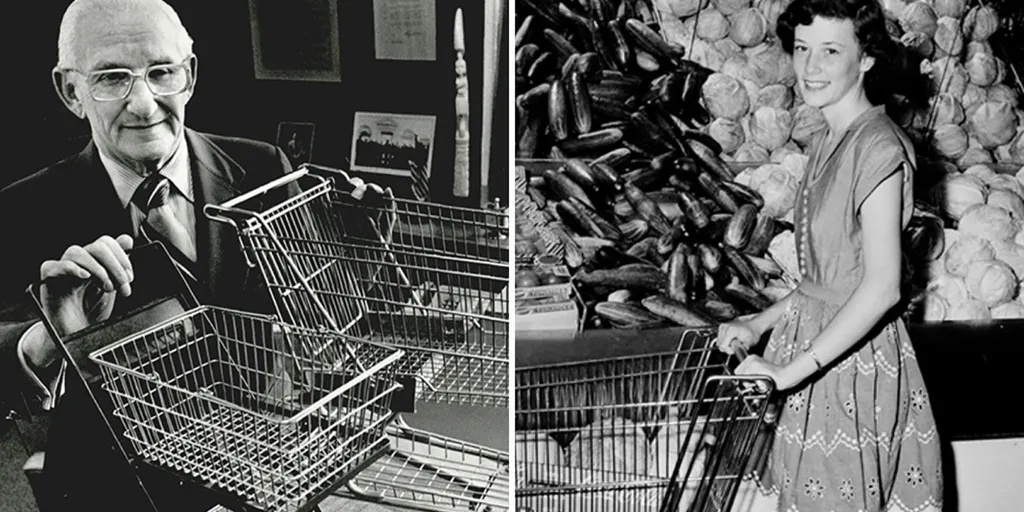 One Idea can Grow Your Business – The Shopping Cart Story